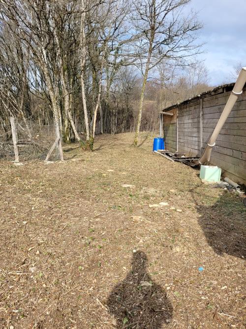 Terrain privé débroussaillé avec branches évacuées