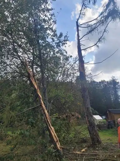 Arbre cassé par le vent Arbre cassé par le vent et devenu dangereux