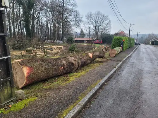Grumes et bois valorisés sur ce chantier