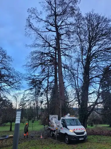 Démontage par nacelle