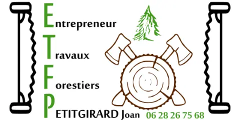bucheron élagueur 70